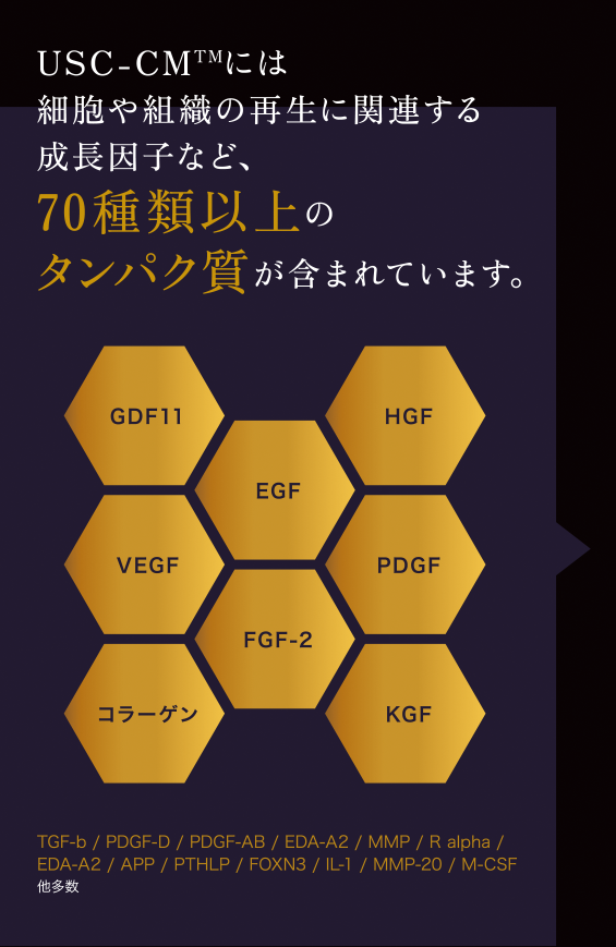 GD11｜ヒト臍帯血幹細胞とは？｜アンチエイジング幹細胞コスメ